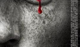 俘虏之锁动漫,命运交织的羁绊与救赎